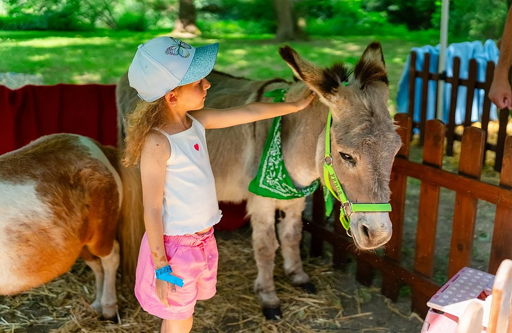 foto atrakce Kontaktní Zoo
