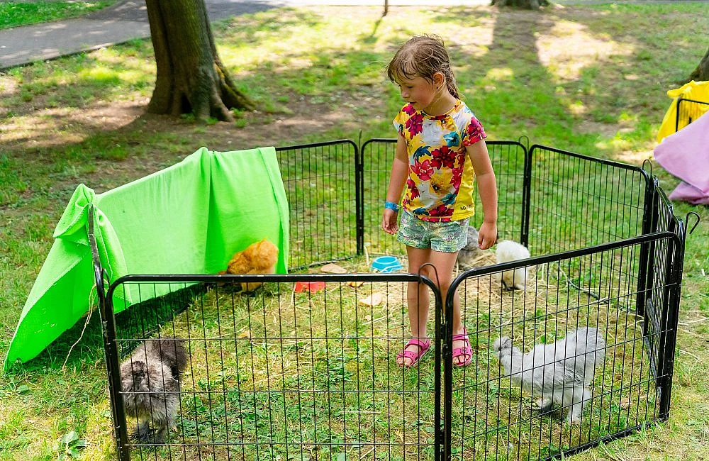 foto atrakce Kontaktní Zoo