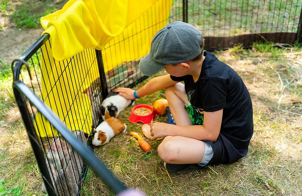 foto atrakce Kontaktní Zoo