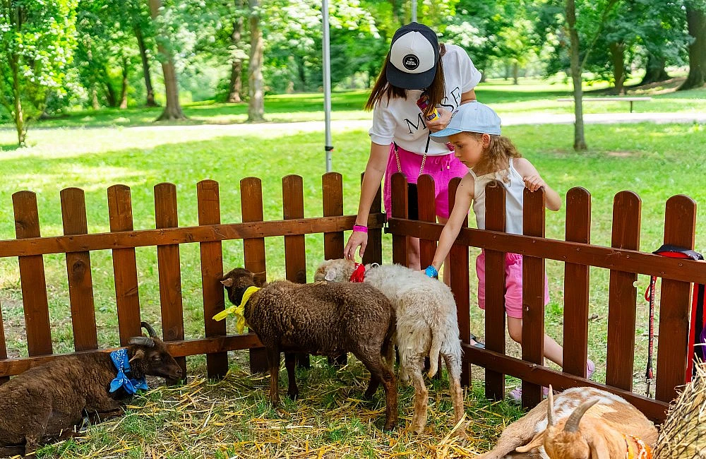 foto atrakce Kontaktní Zoo