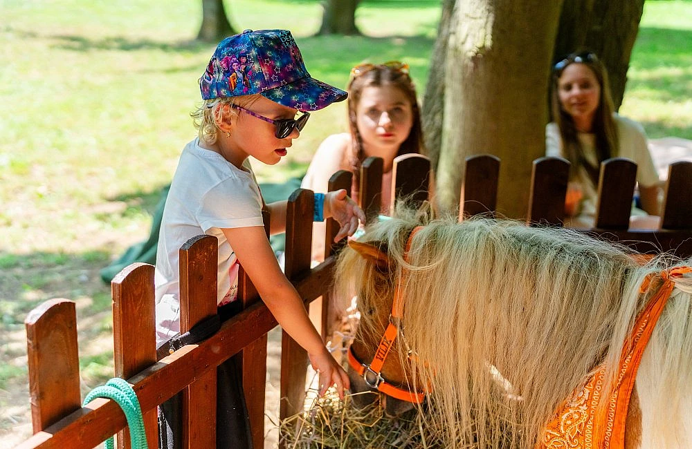 foto atrakce Kontaktní Zoo