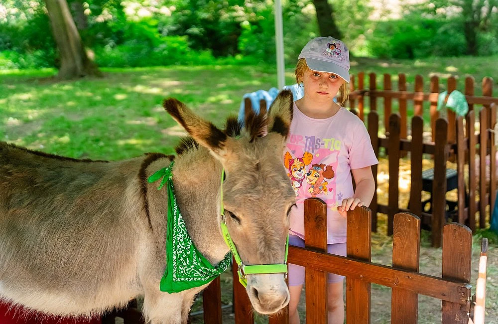foto atrakce Kontaktní Zoo