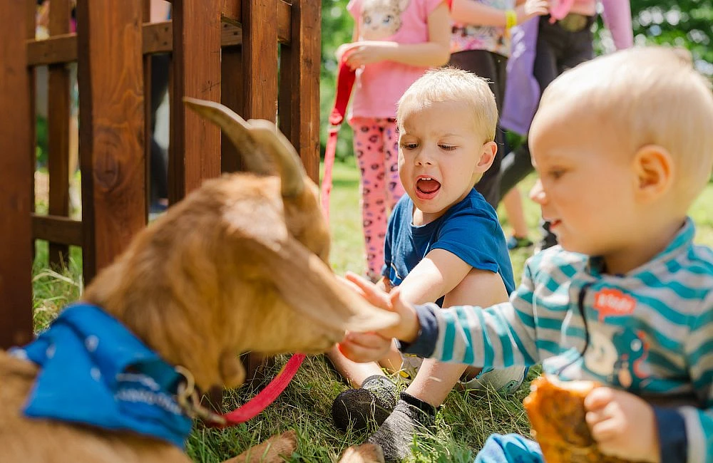 foto atrakce Kontaktní Zoo