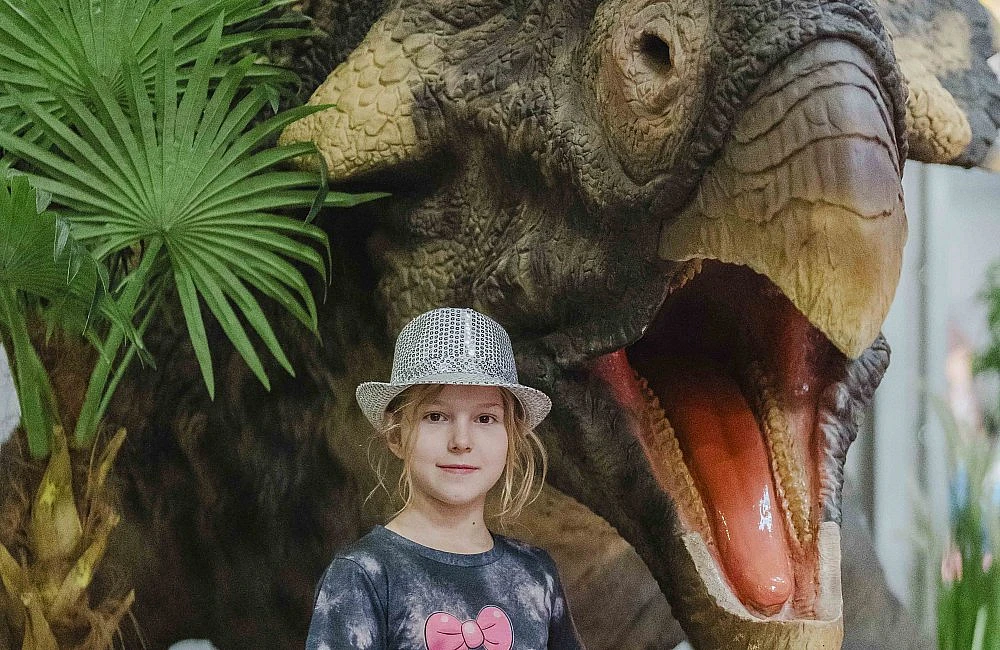 foto atrakce Dinopark Zóna