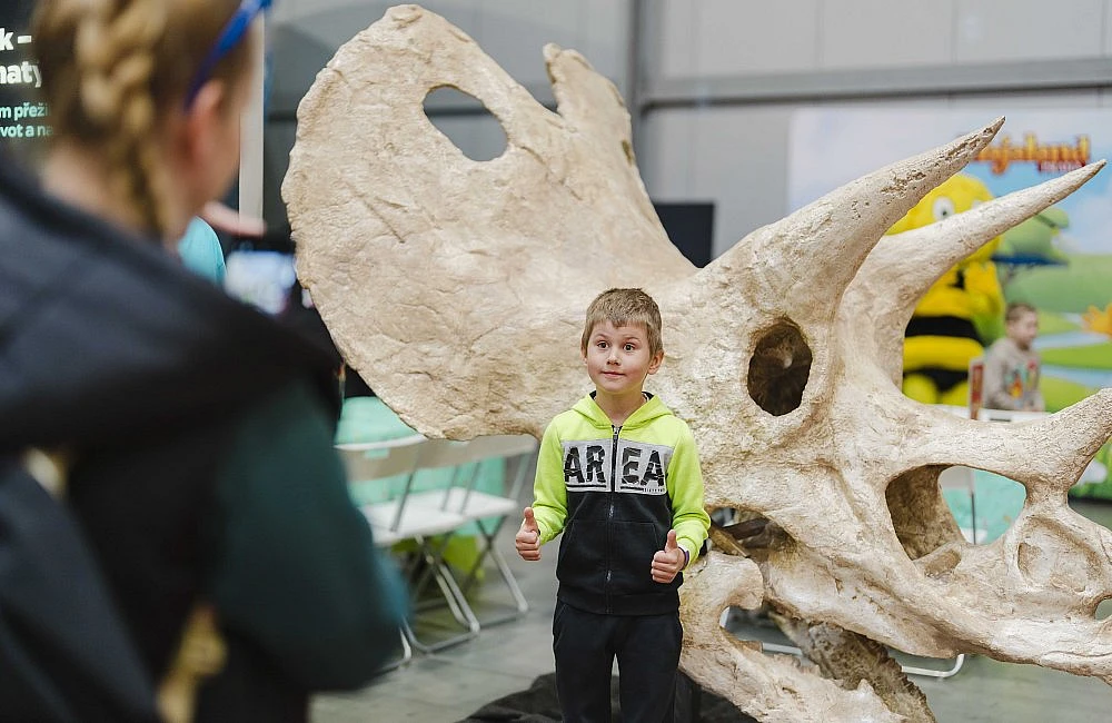 foto atrakce Dinopark Zóna