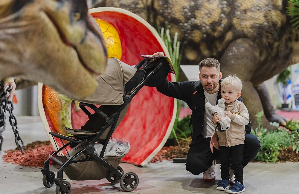 foto atrakce Dinopark Zóna