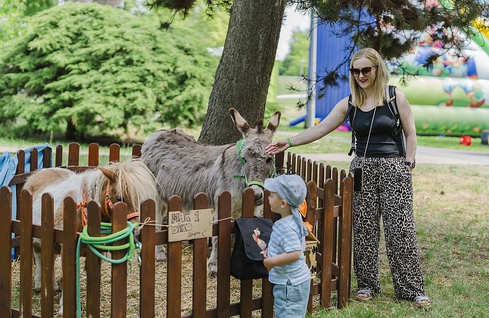 foto atrakce Kontaktní Zoo