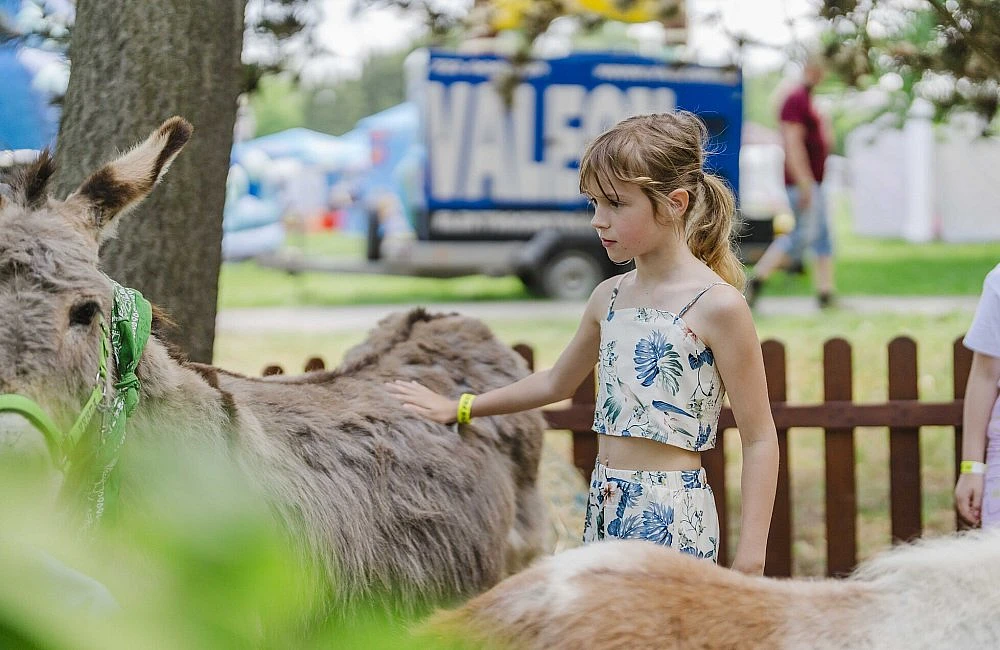 foto atrakce Kontaktní Zoo