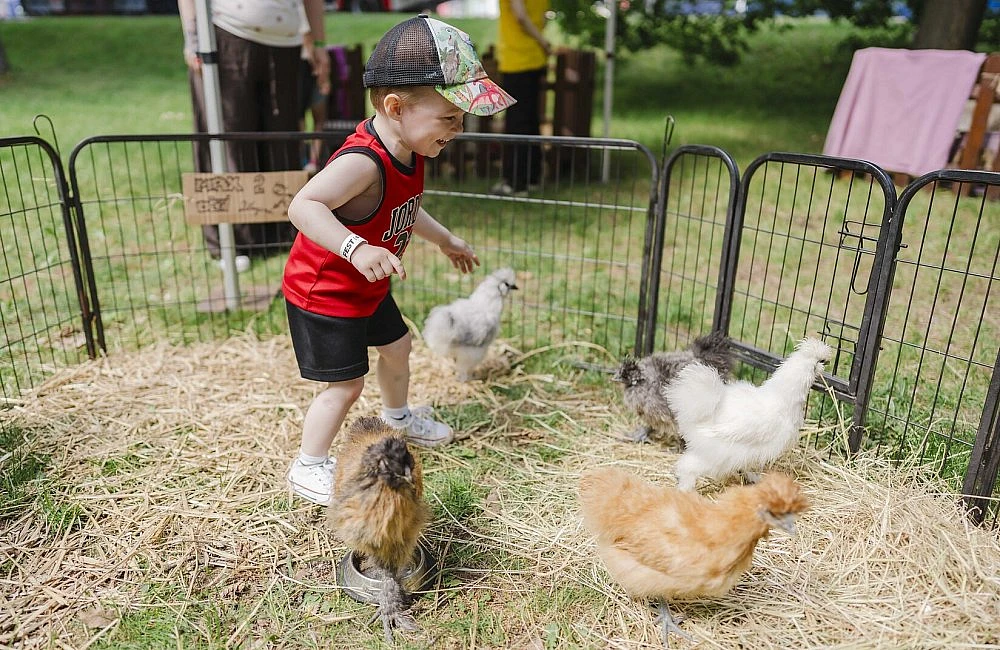 foto atrakce Kontaktní Zoo