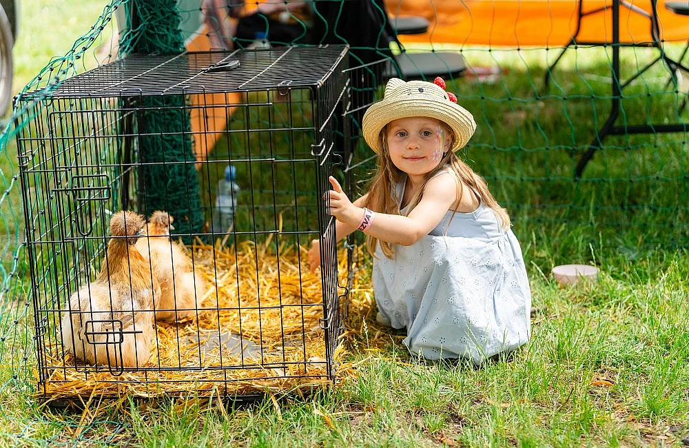 foto z festivalu