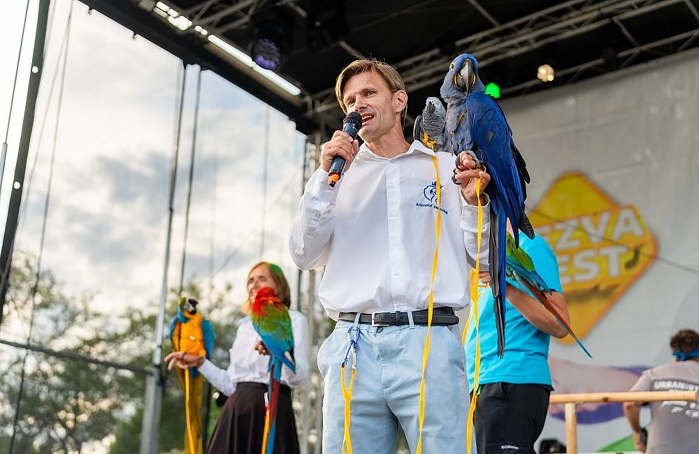 foto z festivalu