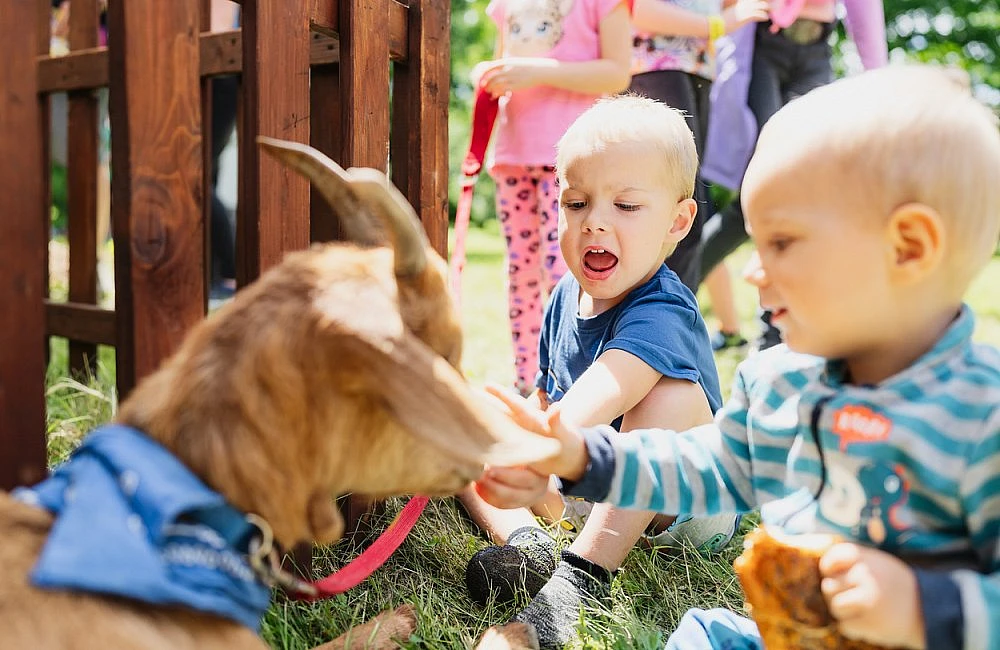 foto z festivalu