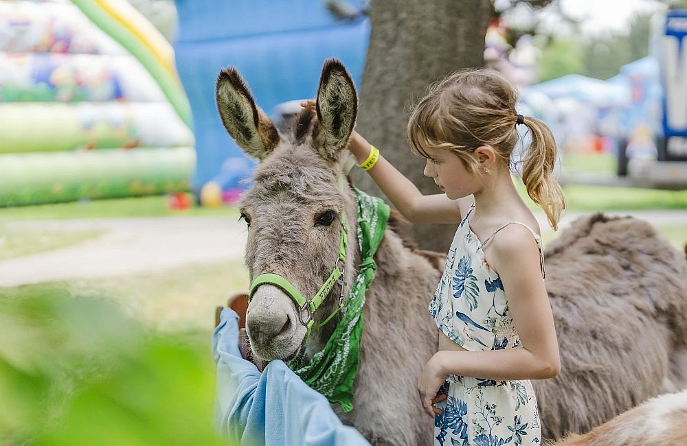 foto z festivalu