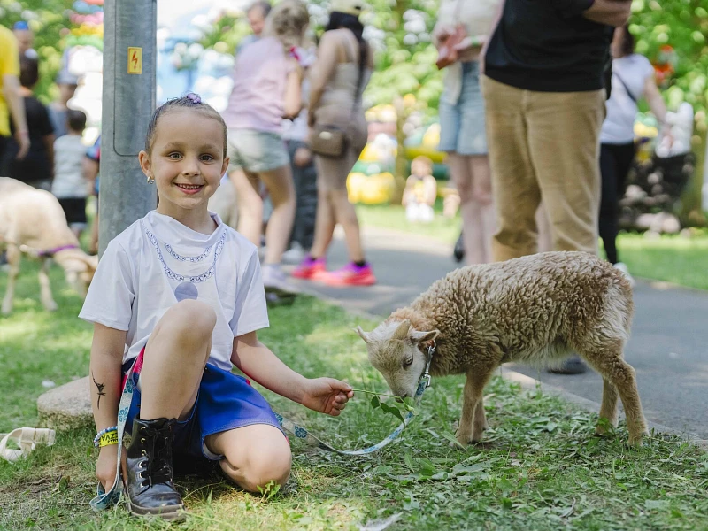 Foto z festivalu